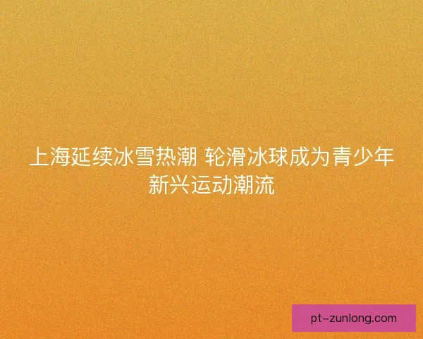 上海延续冰雪热潮 轮滑冰球成为青少年新兴运动潮流 上海延续冰雪热潮 轮滑冰球成为青少年新兴运动潮流